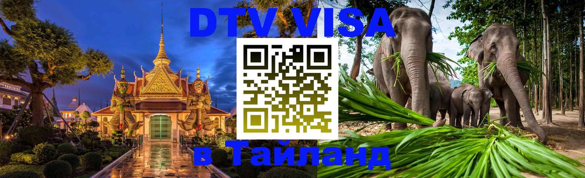 Оформление DTV визы под ключ: стоимость и тарифы, только загранпаспорт - Калуга  20.11.2025 